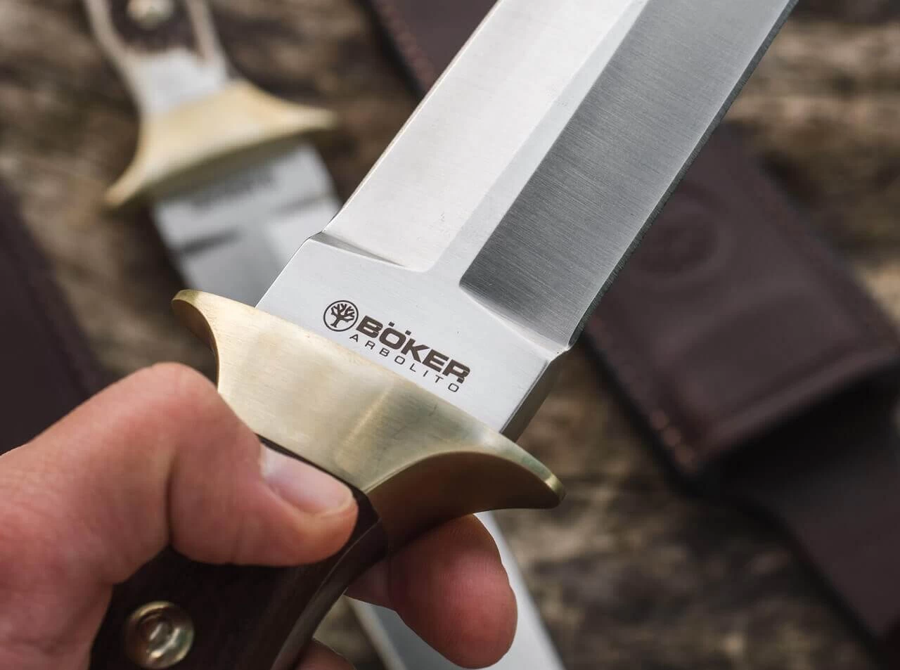 Colmillo Guayacan 7 Colmillo Guayacan – Bild 7