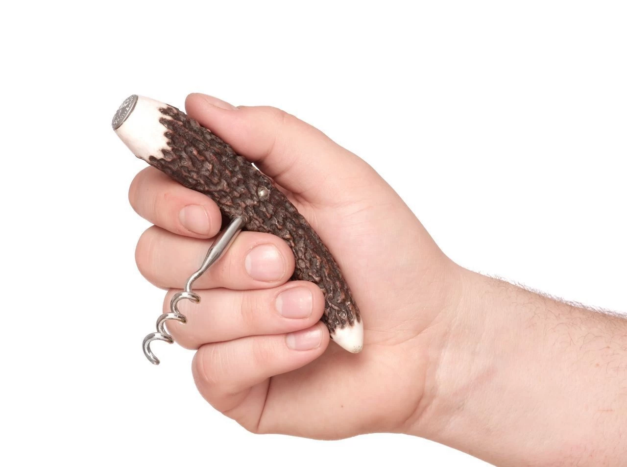 Korkenzieher Hirschhorn 7 Korkenzieher Hirschhorn – Bild 7