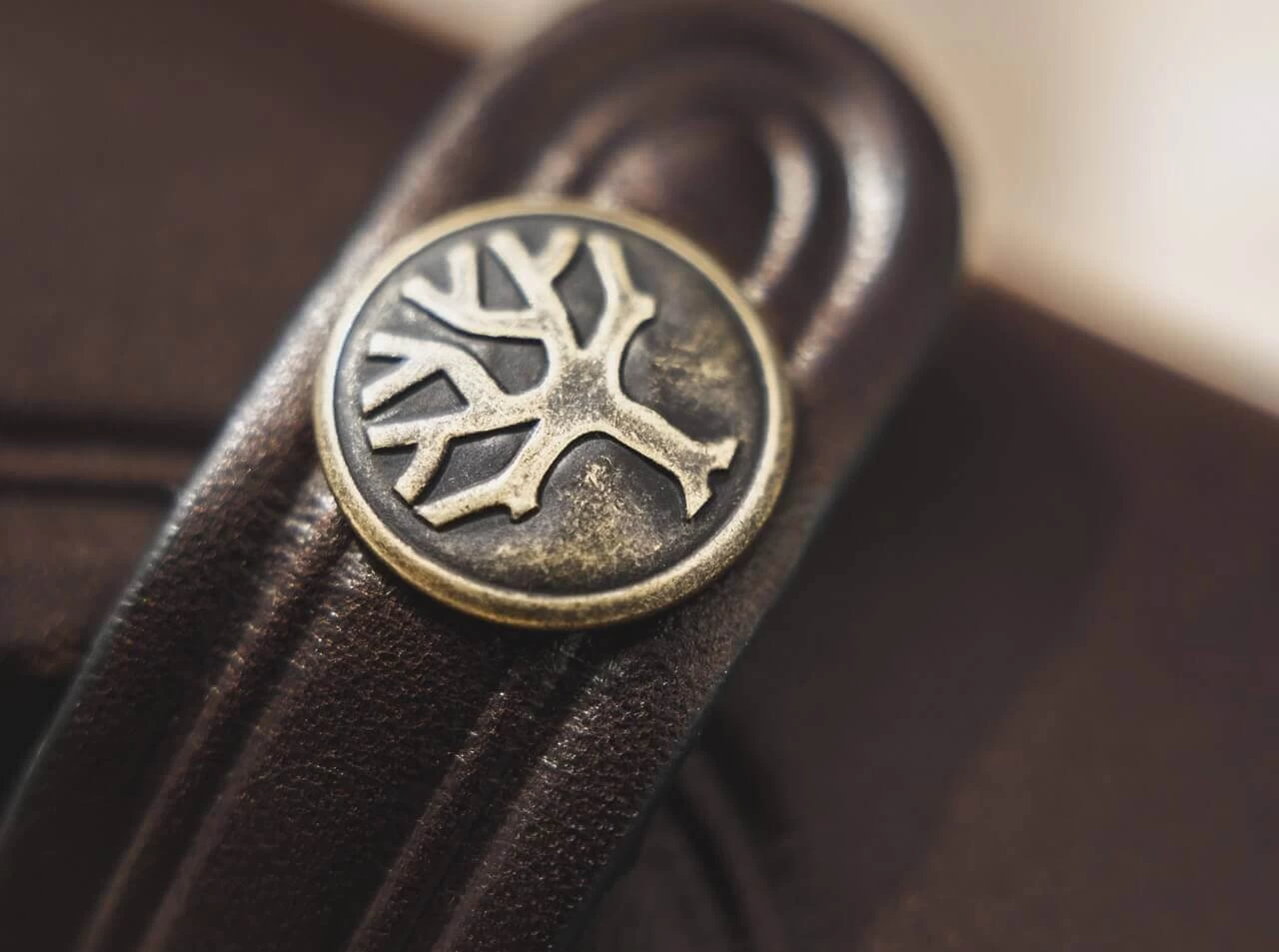 Vultur 7 Vultur – Bild 7