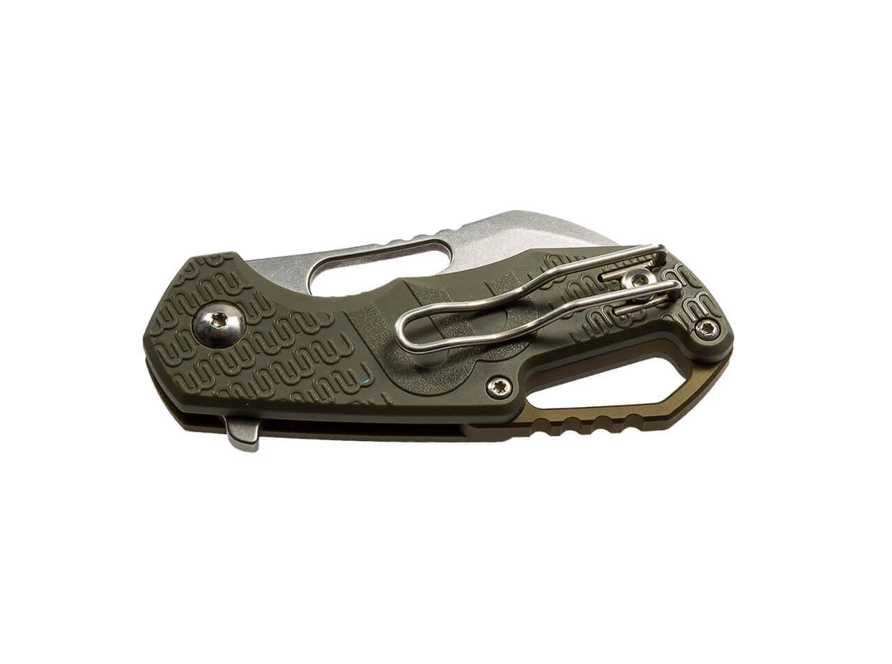 Isonzo Green Hawkbill 2 Isonzo Green Hawkbill – Bild 2