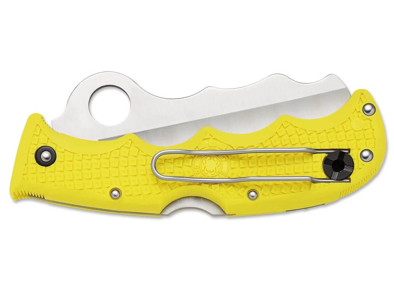 Spyderco Assist Salt 2 Spyderco Assist Salt – Bild 2